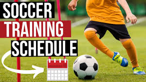 Training Schedules 